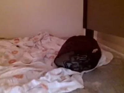 Golden Ticket Show Recording (1 / 2) from 2018-01-18 21:27:07 by Danielle Sky