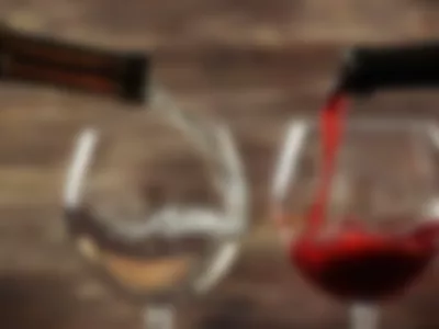 Wine by ElizavetaCino