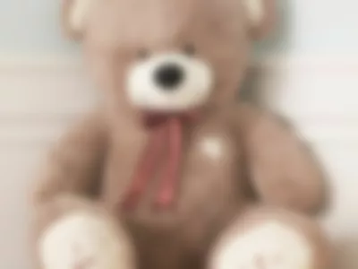 Teddy Bear by ElizavetaCino