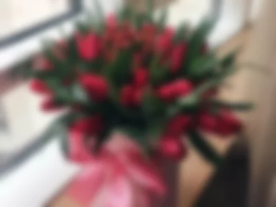 flowers by VioletFoxSubaltern