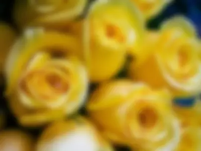 ❤HAPPY yellow flower day ❤ by AudreyHepburn