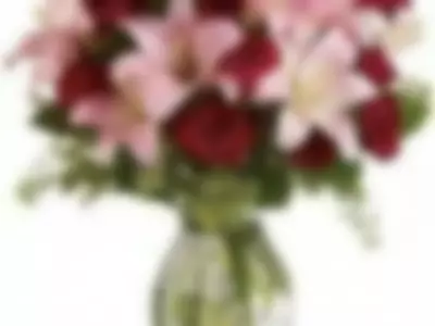 FibiToothed (fibitoothed) XXX Porn Videos - Flowers for me