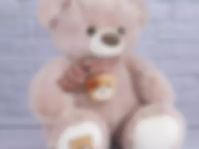 teddy bear by MeddyHope
