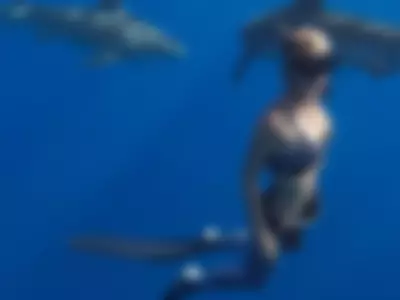 FreyaDak (freyadak) XXX Porn Videos - Swimming with sharks