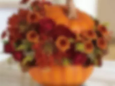 Sonia Fugors (Soniafugors) - autumn bouquet on Camsoda 