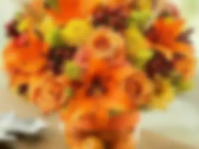 Daniella Grace (Daniellagrace) - autumn bouquet on Camsoda 