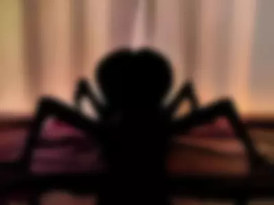 NIKKY (nikolsweett) XXX Porn Videos - FUCK ME IN HALLOWEN SPIDER POSITION