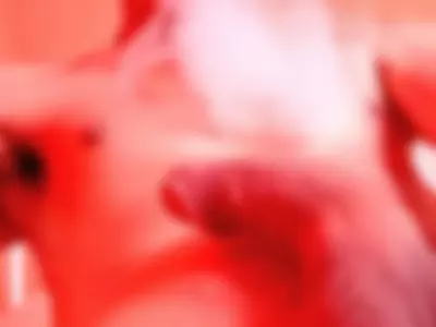 Humo by banana