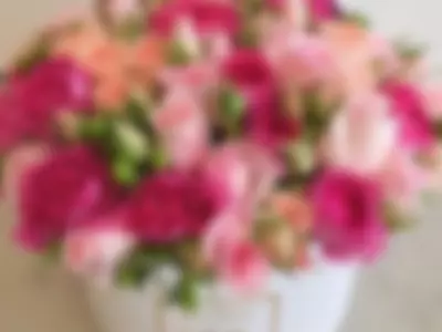 flowers by KarinaSwanNest