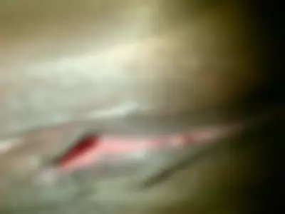 big  pussy lips by LOVELYBIGPUSSYLIPS53