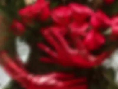 Roses by Ximena-Sotto1