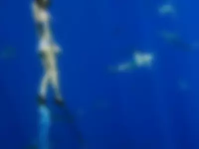 Swimming with sharks by NeonilaLisova