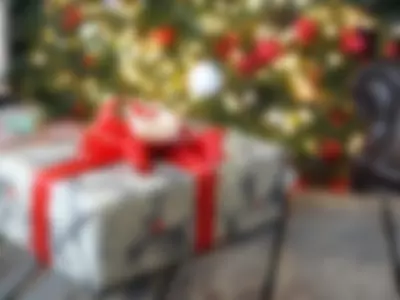 Xmass gift by NeonilaLisova