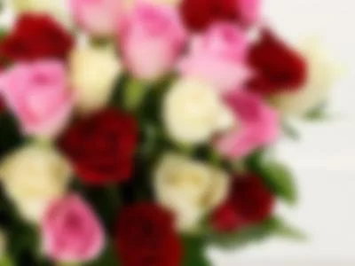 Gift me Roses by alexia-ashford