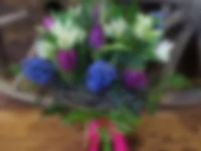 flowers by fionawebber