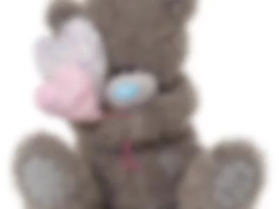 Teddy Bear by fionawebber