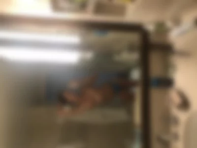 BrettRossi (brettrossi) XXX Porn Videos - Sexy Vacay Bathroom Photos