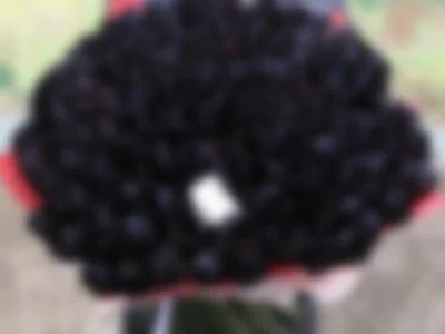 firstlovee (firstlovee) XXX Porn Videos - Black roses for red-hair cutie 😍