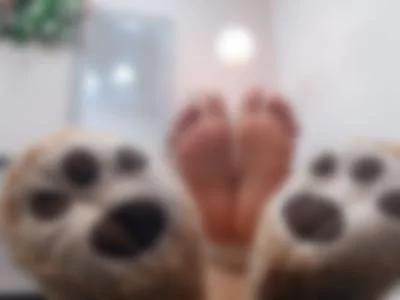 natamich (natamich) XXX Porn Videos - Bear + Feets = Awesome MIx