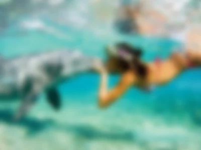 rileymitchell (rileymitchell) XXX Porn Videos - Swim with dolphin