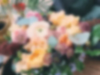 Flowers by KailyRossi