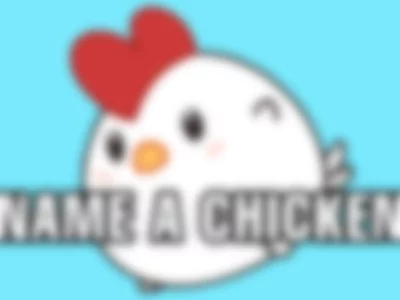 Adopt-A-Chicken by EVOL JASMINE