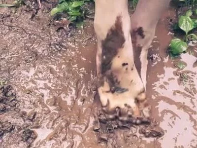 Muddy feet / foot job in mud by Goddess SashaSass