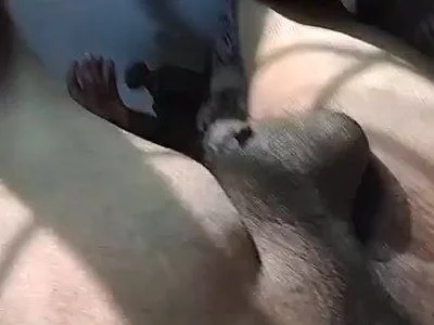 Im horny always by hotboynk