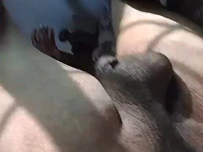 Im always horny ass hole show by hotboynk