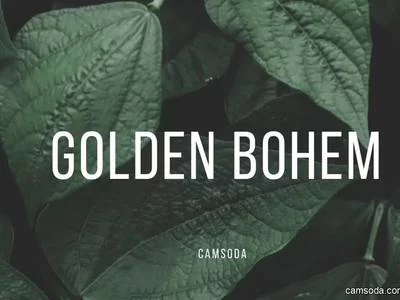 GoldenBohem (goldenbohem) XXX Porn Videos - So creamy.