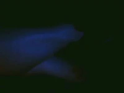 Sexy video by SamanthaJames